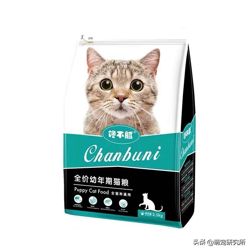 养猫推荐猫粮和猫砂,养猫推荐白色猫粮品牌