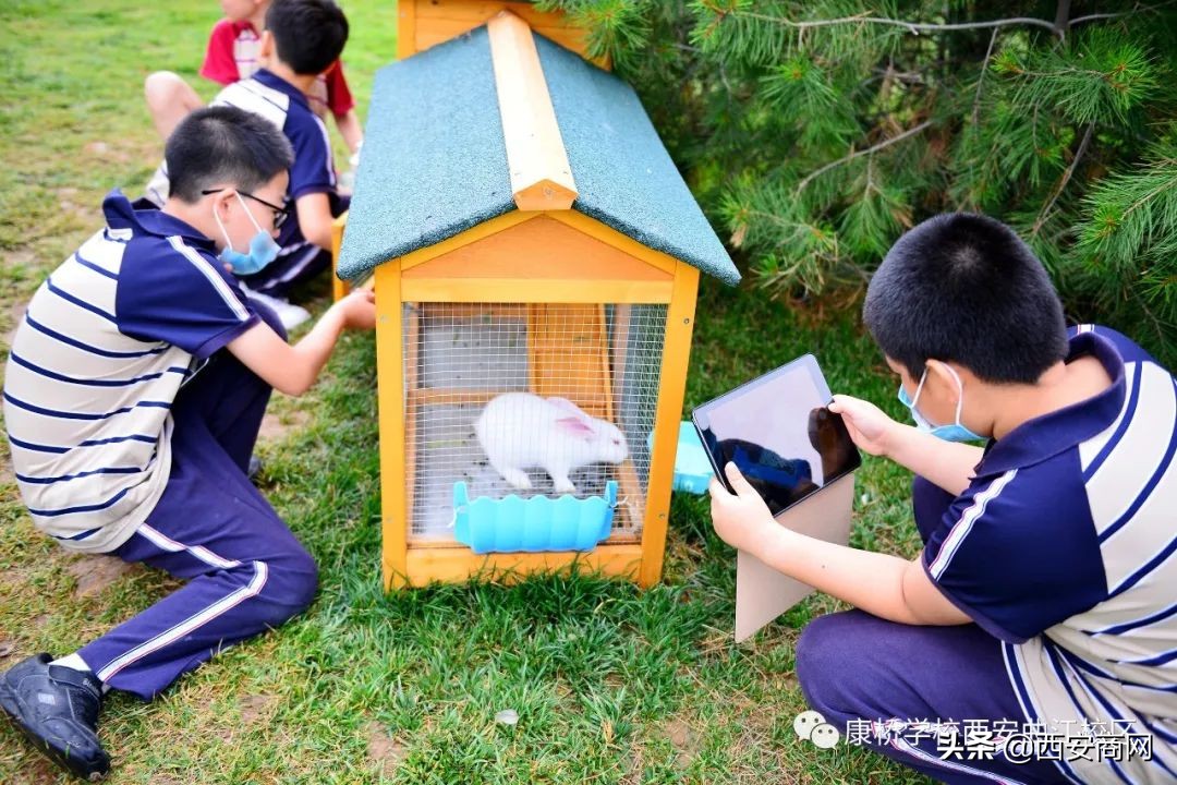 康桥国际学校适合什么样的孩子,康桥菁英励志教育