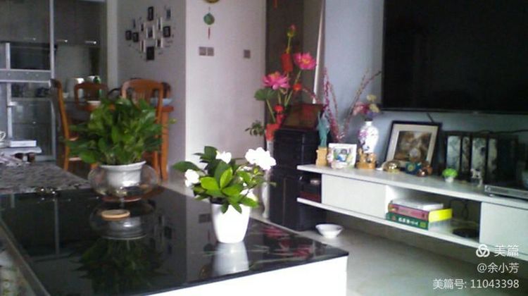 栀子花开舞蹈视频,栀子花开何炅