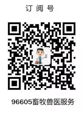 母牛产后高烧瘫痪怎样治疗,母牛产后瘫痪最佳土方法