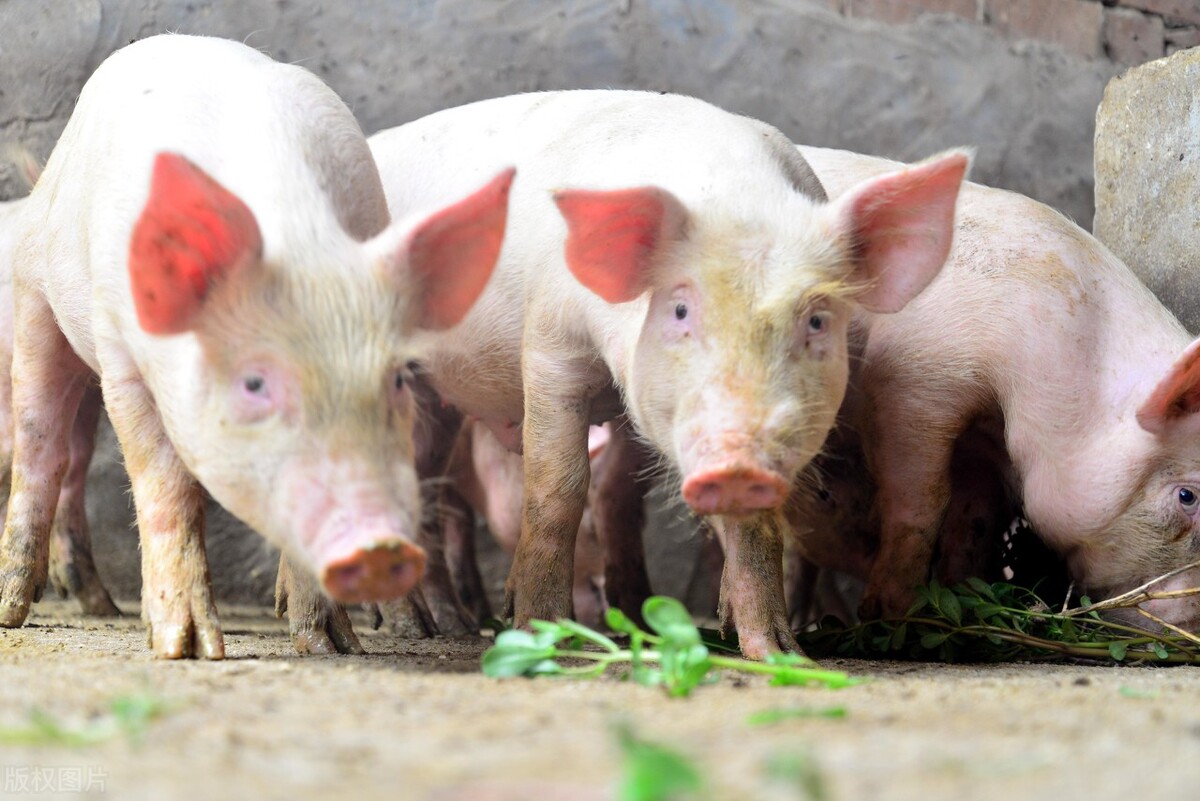 四川天府之国深度解析,天府之国有多富饶