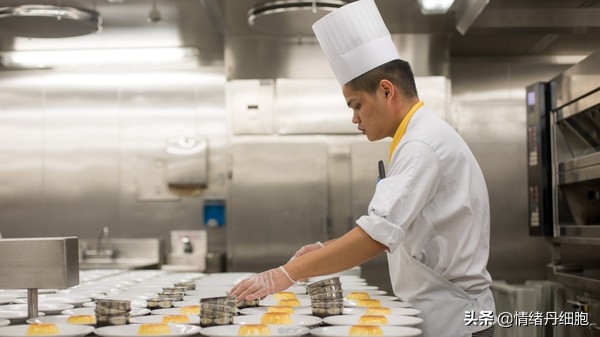 邮轮游选择哪个游轮好,邮轮旅游全攻略公主号