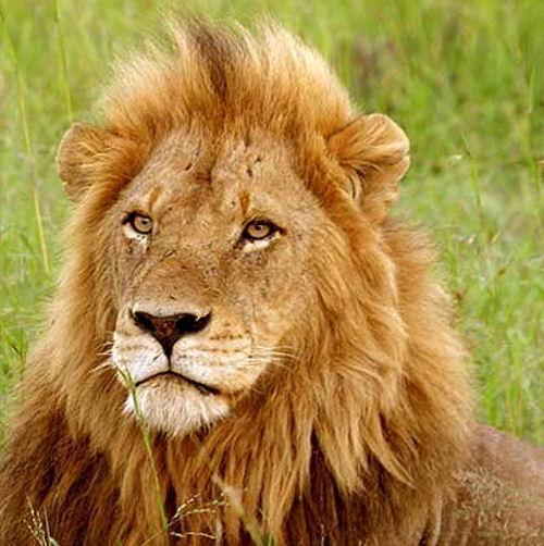 坏男孩联盟央视完整国语版高清,坏男孩联盟300分钟纪录片中文