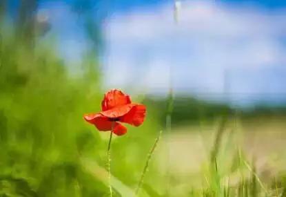 美篇里的优美文字,美篇里写作素材哪里找