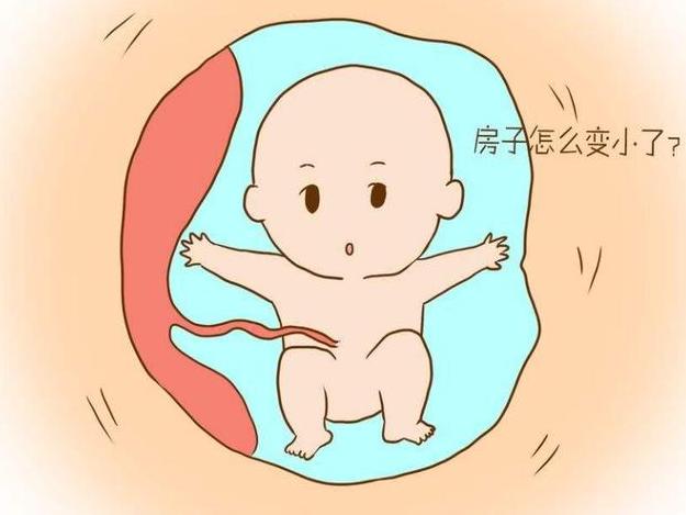 孕期同房，会不会“打扰”到胎儿？医生：别害羞，父母应该知道