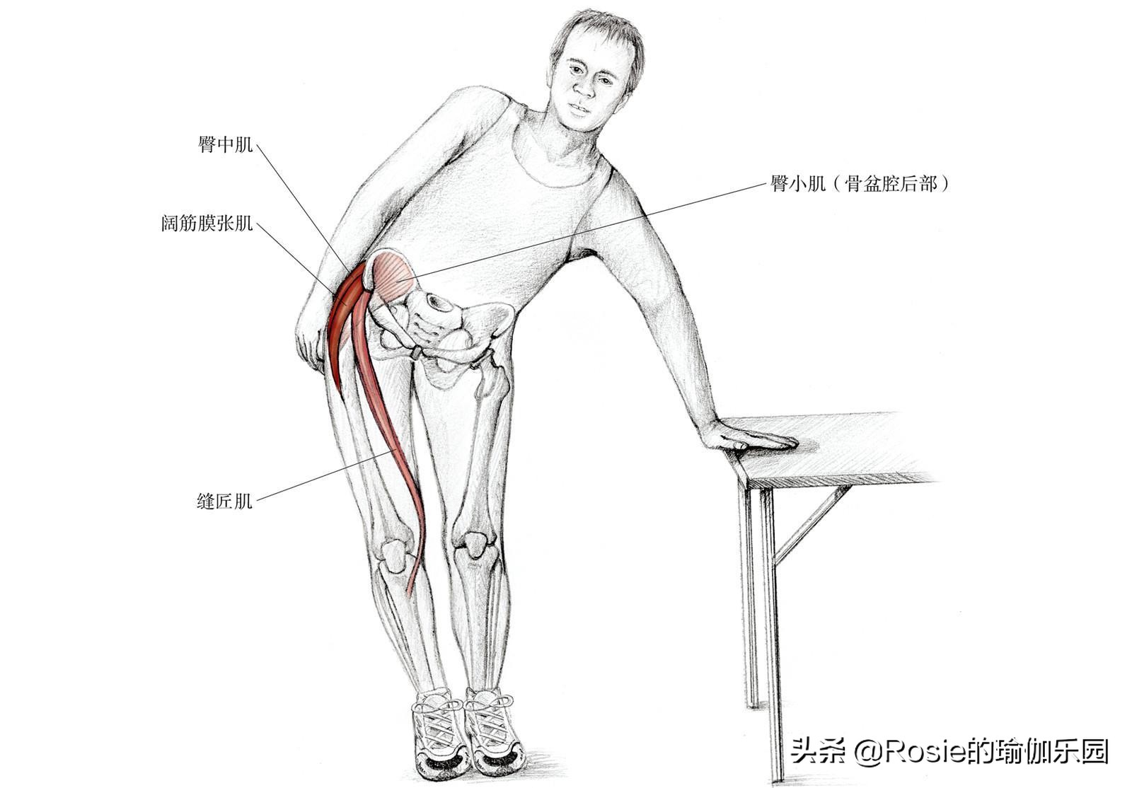 久坐臀两侧不舒服怎样练,臀平怎么练
