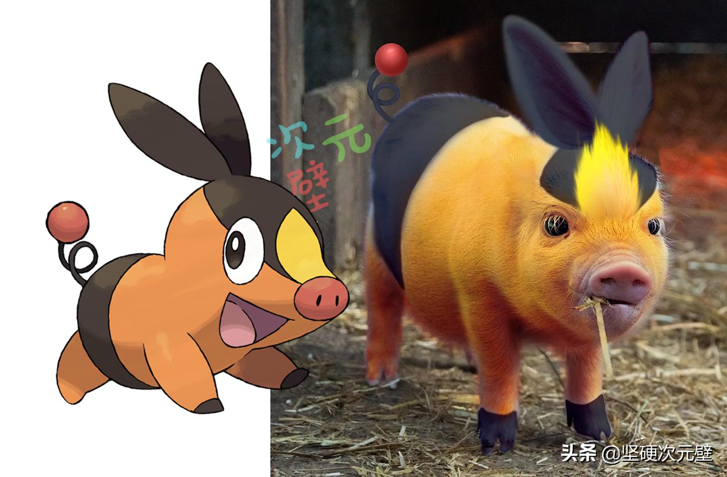 神奇宝贝喷火龙的进化史中文版,神奇宝贝火恐龙进化成了喷火龙