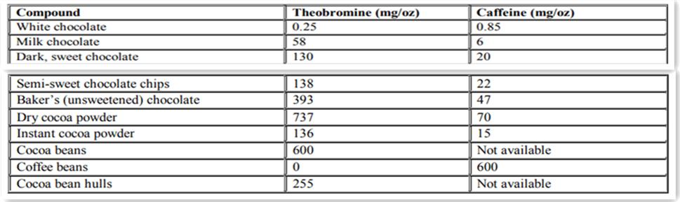 猫咪误食巧克力全过程,猫咪如果误食了巧克力怎么办