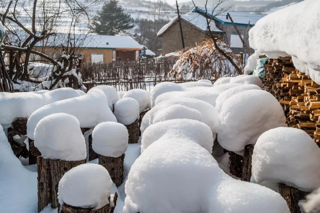 不忽悠！“拔草”这些小村屯才不辜负这个冬天