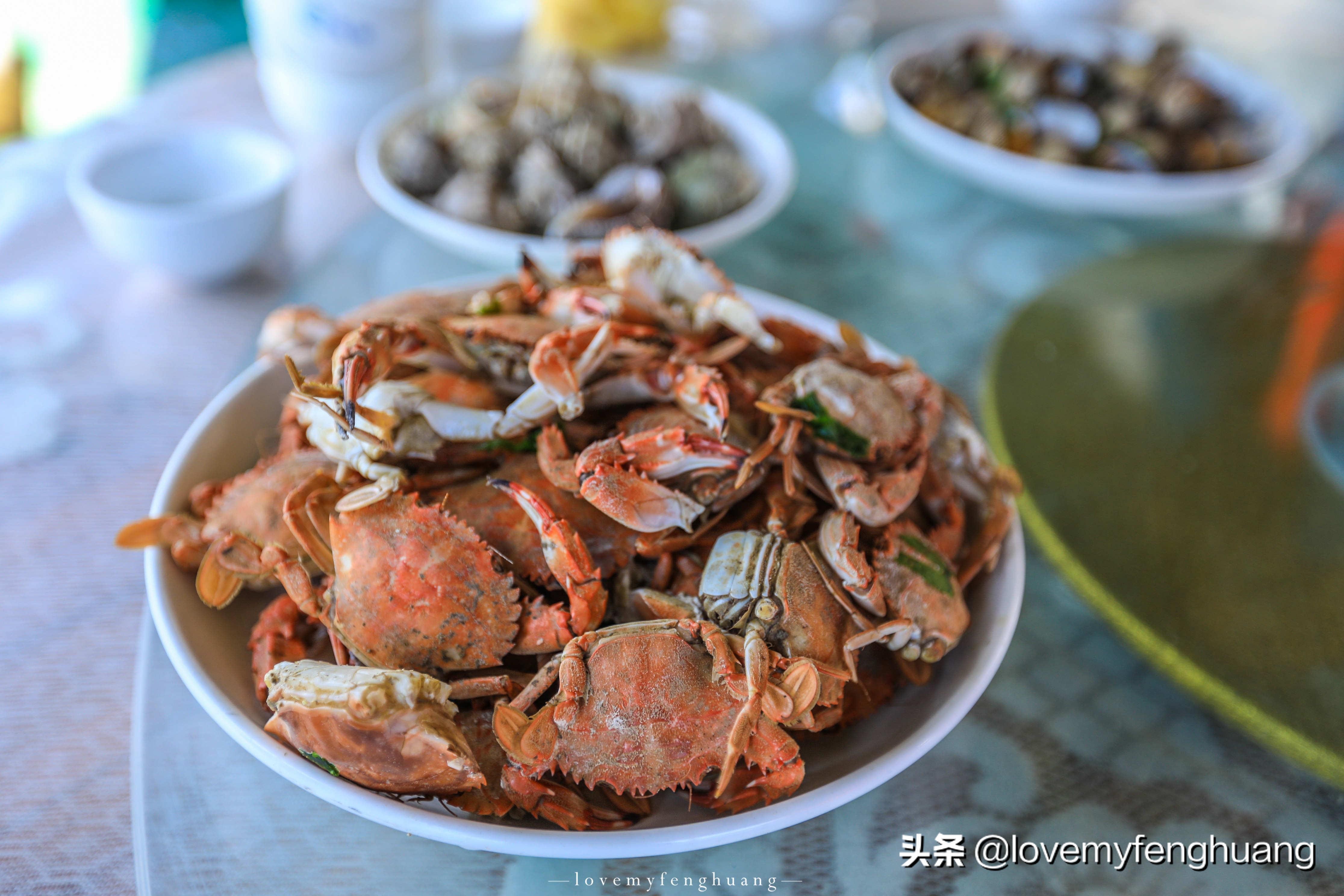 普陀山出海捕鱼一日游,小普陀横山岛
