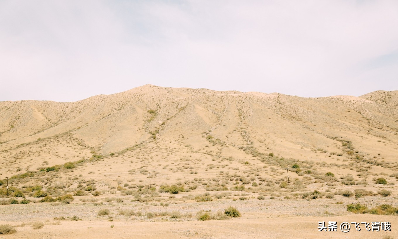 克拉玛依是一座幸福的城市吗,克拉玛依一座美丽的城市