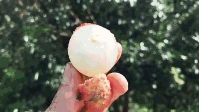 荔枝界的爱马仕,广东荔枝首选桂味荔枝