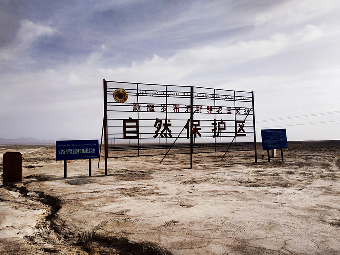 西行之路地图,神秘的西域旅行