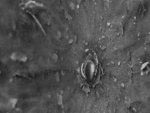 有了前法国第一夫人的百元“黑科技”眼霜，我把3000块眼霜扔了！