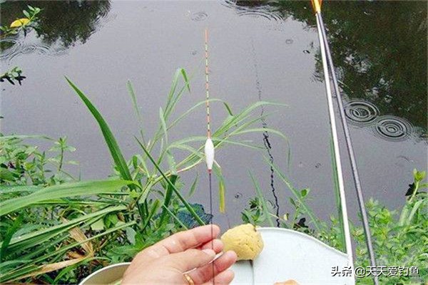 一钩触底一钩悬浮怎么调漂图解,朝天钩立漂调漂的正确方法图解