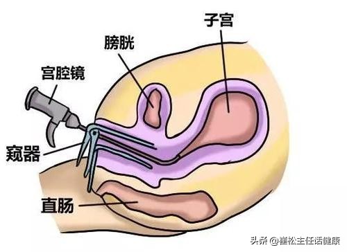 女神节说点啥,女神节说点什么好