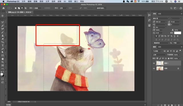 ps选区基础操作教程,ps基础教程新手快速建立选区