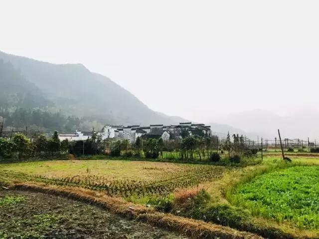 走进裔村：仙家一出寻无踪，至今流水山重重