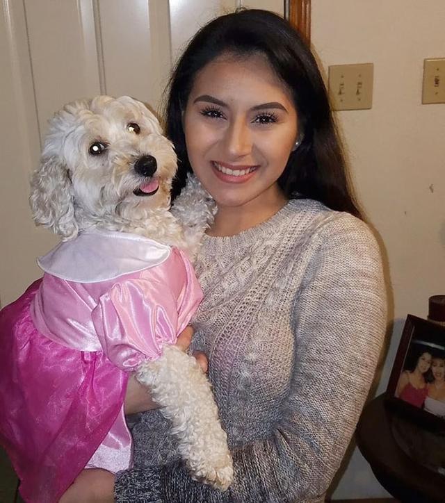 贵宾犬生了一窝的宝宝,贵宾刚生小狗什么样