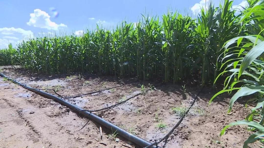 澶х帀绫宠豹杞︽憜鍦版憡,澶х帀绫宠豹杞︽憜鍦版憡浣嶇疆