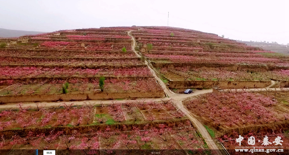 甘肃省89个县区之秦安县介绍