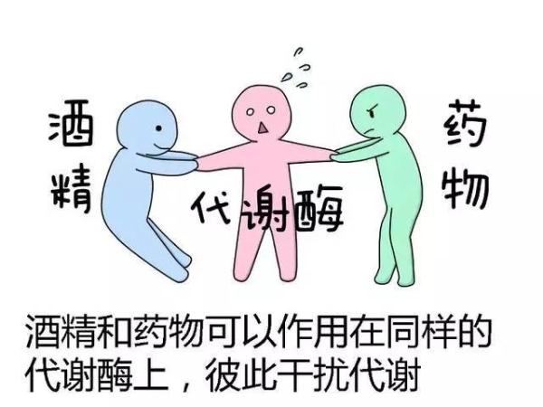 吃完头孢是不能喝啤酒还是白酒,为什么吃头孢不可以喝酒