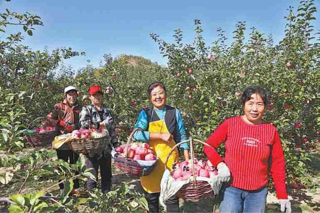 榆林农业产业园区地址位置,榆林国家现代农业科技示范园