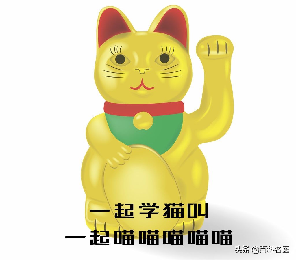 抠倒刺、抠痘痘、抠耳朵、抠鼻孔，请你不要到处抠抠