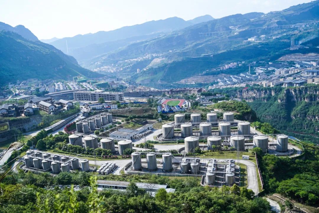 郎酒汪俊林最新消息,郎酒集团董事长汪俊林成长历程