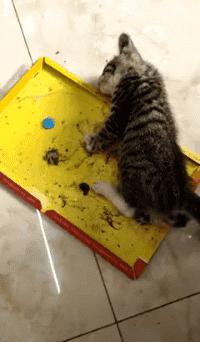 打麻将搞笑gif图片大全,打麻将三缺一的搞笑图片