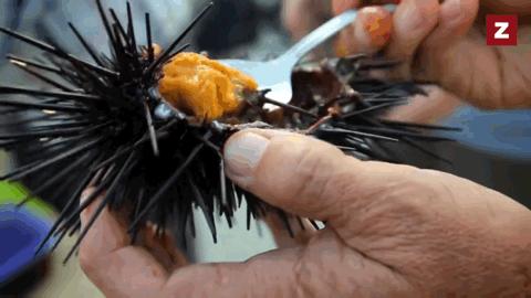 为了猛一点,中国男人吃了多少性器官?