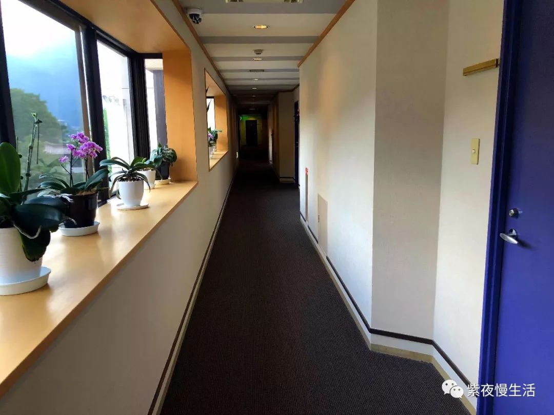 未见富士,幸运依在-秀峰阁湖月