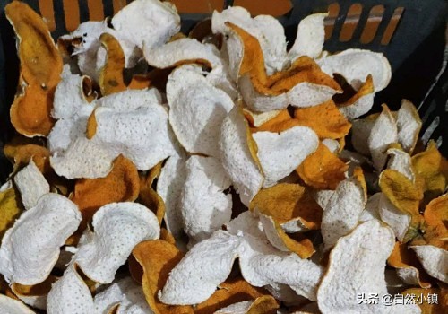 陈皮禁忌什么中药,陈皮有哪些讲究