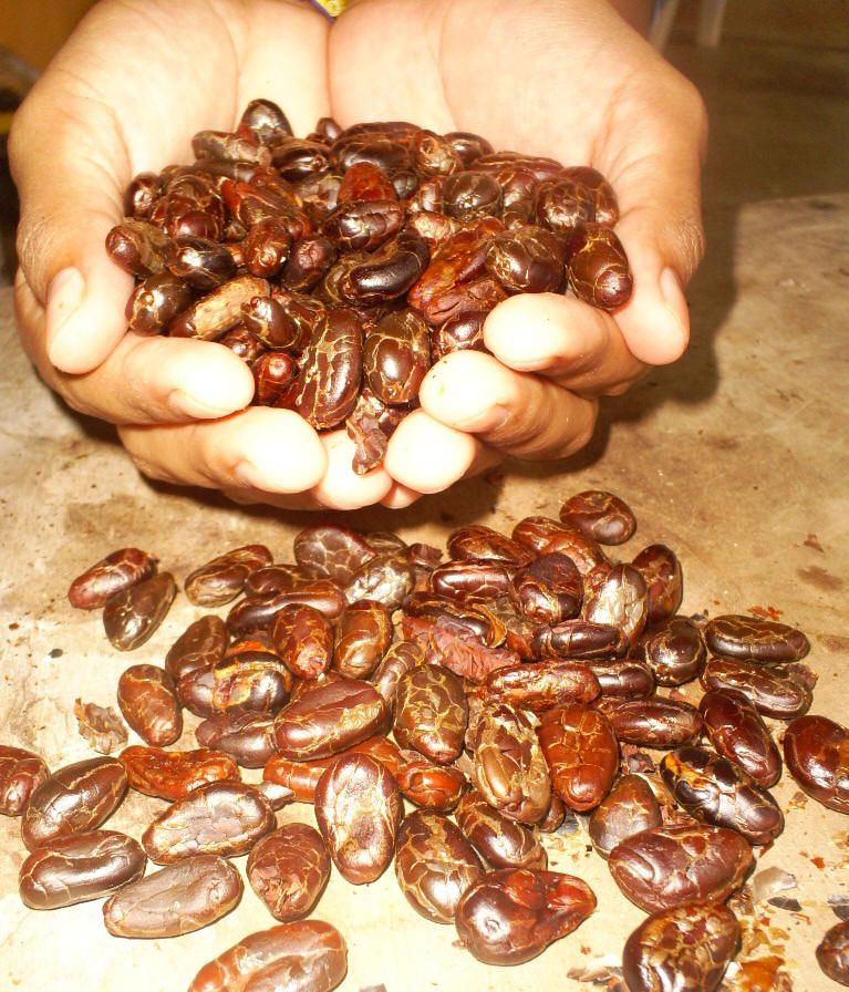 高清版谷歌卫星世界地图最新版,世界卫星地图浏览