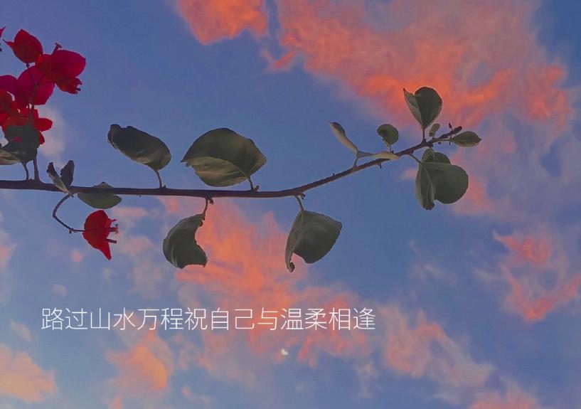 手机拍图片扫描提取文字免费,手机如何扫一扫提取图片中的文字