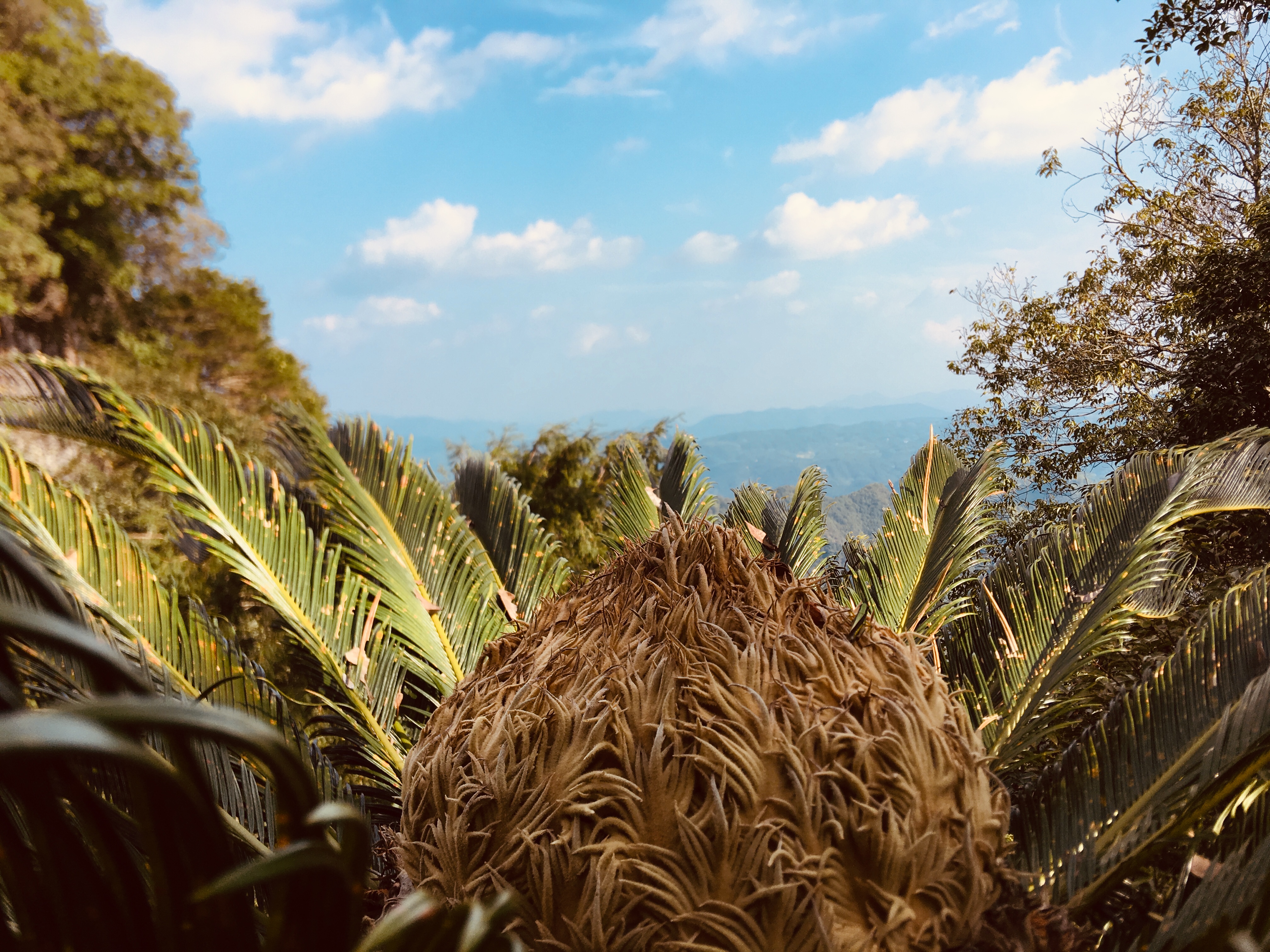 永泰青云山后山,永泰青云山好去处