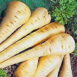 鏉ユ瘮鍒╂椂鐪嬪阀鍏嬪姏,鏉ユ瘮鍒╂椂甯︿粈涔堝阀鍏嬪姏鍥炲浗