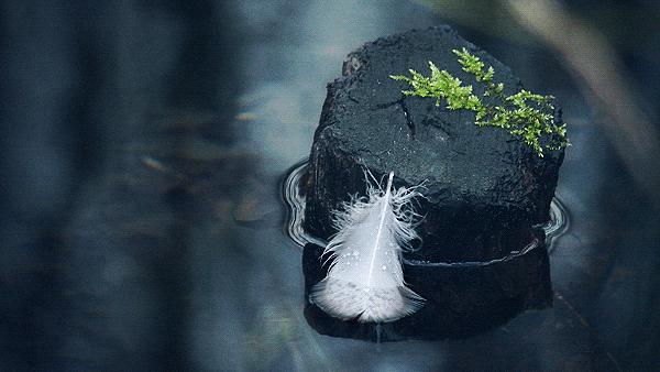 人一生会有几次叛逆,人一生的叛逆期