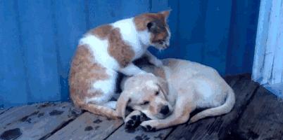 虚幻4引擎的游戏能升级到虚幻5吗,虚幻引擎4手游