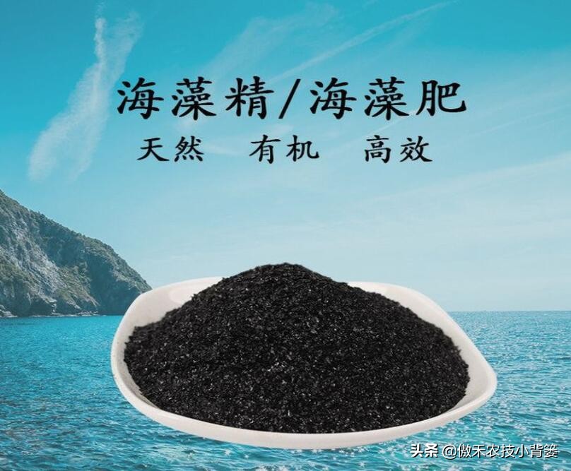 腐植酸氨基酸鱼蛋白肥料哪个更好,有机质肥料腐植酸海藻酸成分高吗