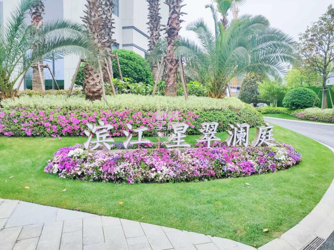 君品新款,君品新产品