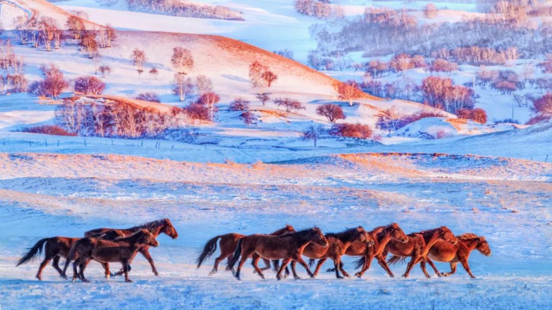 内蒙古赤峰属于东北吗,赤峰东北还是华北