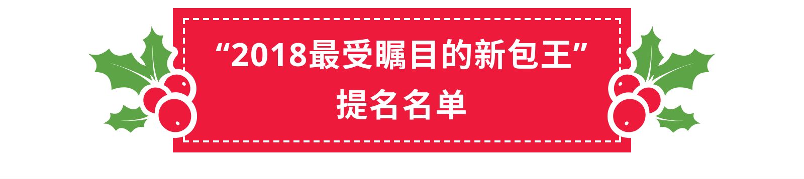 年度最佳新款包包,2019最火包包年度大赏