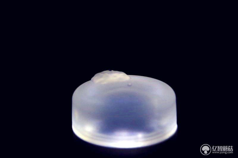 把美容院仪器搬回家是什么体验,把美容院搬回家