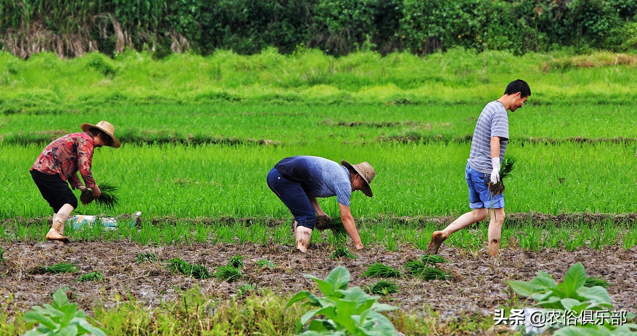 民间故事晚不梳头早不说梦,老祖宗留下俗语晚不梳头早不说梦