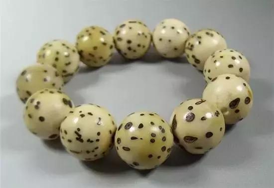 千眼菩提怎么自然变绿,千眼菩提要怎么盘玩