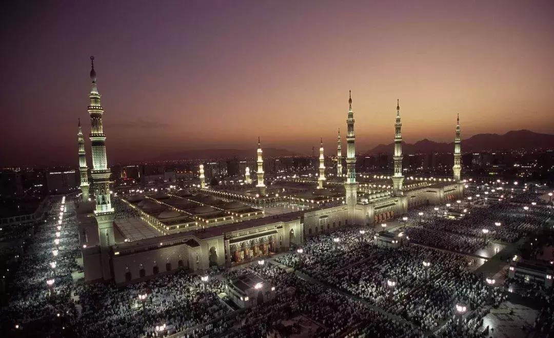 沙特最新处罚规定,沙特阿拉伯简介气候