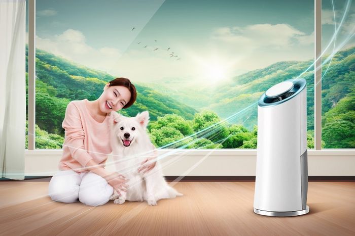 90%人买加湿器都会掉的坑，砸了1w+元后我总结出这篇终极指南