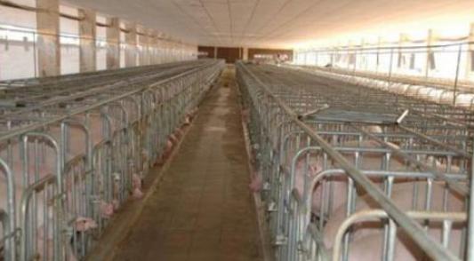 养殖场灭蜱虫专用药,对于防控非瘟的建议