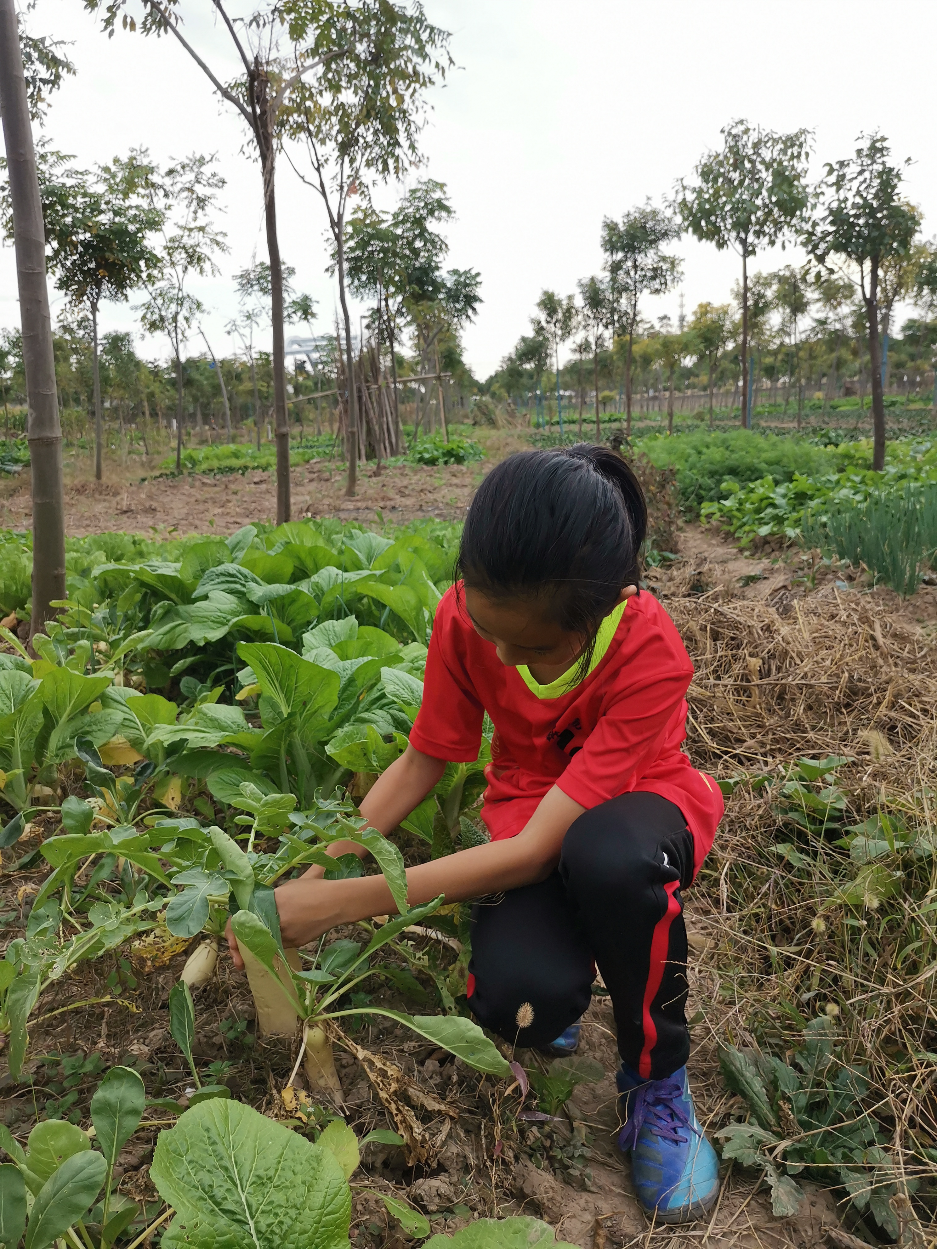 原创：两孩子是我的祖先